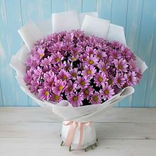 Букет цветов из:  Хризантемы в Кысыл-Сыре