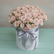 Цветочная композиция из Розы в шляпной коробке #REPLACE_PRED# Кысыл-Сыре