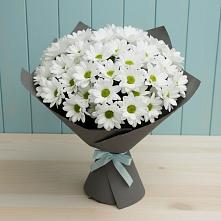 Букет цветов из:  Хризантемы #REPLACE_PRED# Кысыл-Сыре