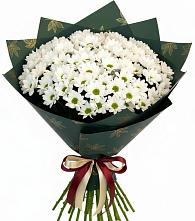 Букет цветов из:  Хризантемы #REPLACE_PRED# Кысыл-Сыре
