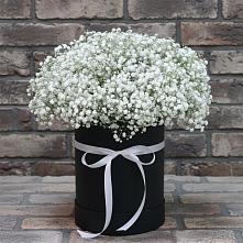 Цветочная композиция из Гипсофила в шляпной коробке в Кысыл-Сыре