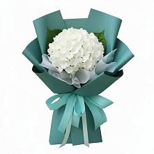 Букет цветов из:  Гортензия #REPLACE_PRED# Кысыл-Сыре